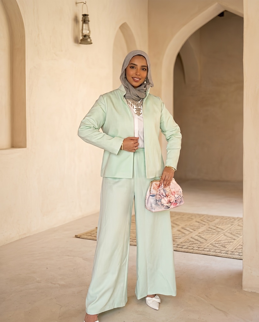Minimal Collar Elegant Suit