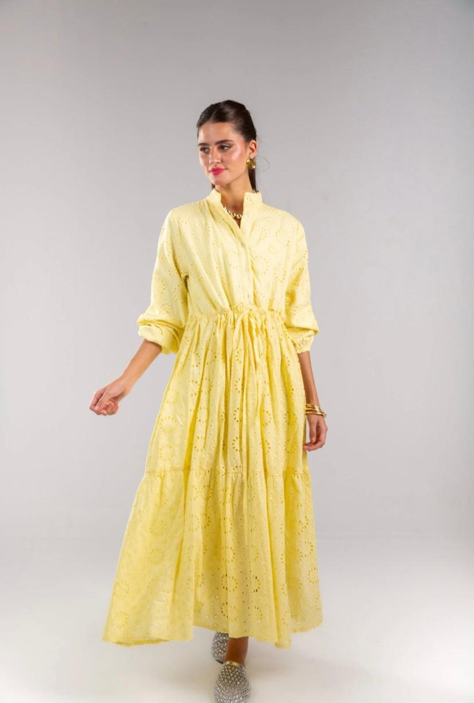 Buttoned Cutwork Embroidered Dress