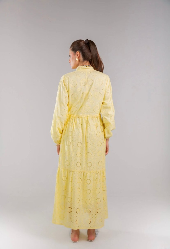 Buttoned Cutwork Embroidered Dress