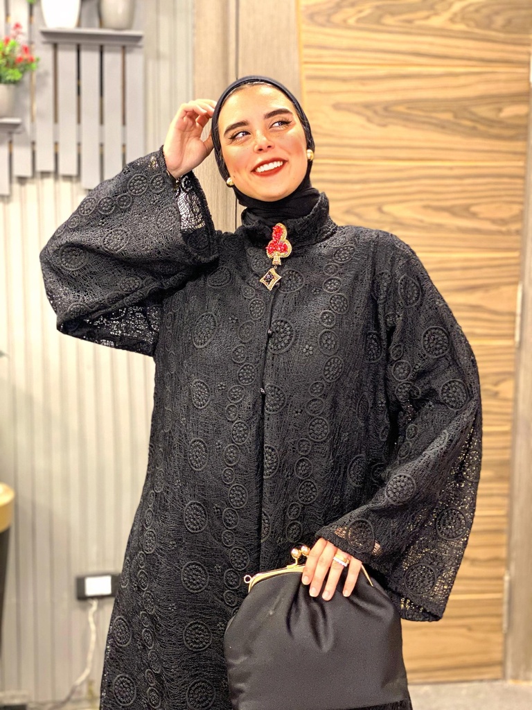 Guipure Lace Sleeves Dress 