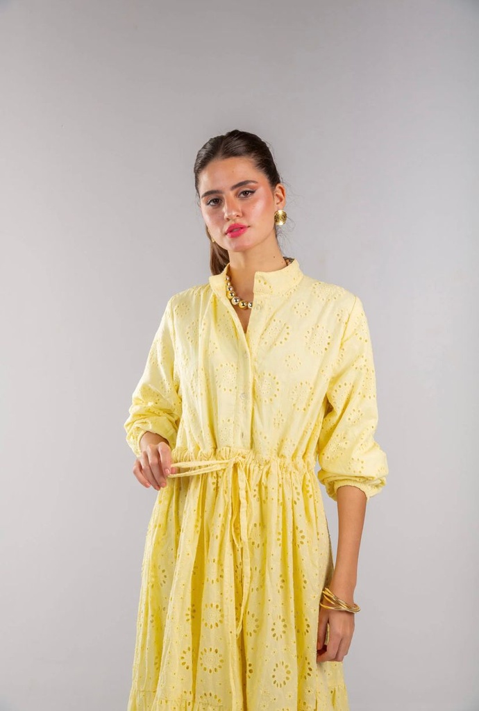 Buttoned Cutwork Embroidered Dress