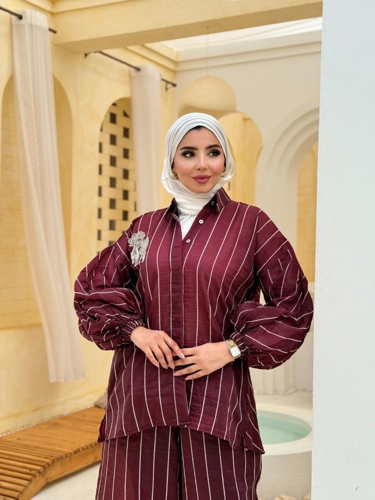 Striped Shimmer Embroidered Suit