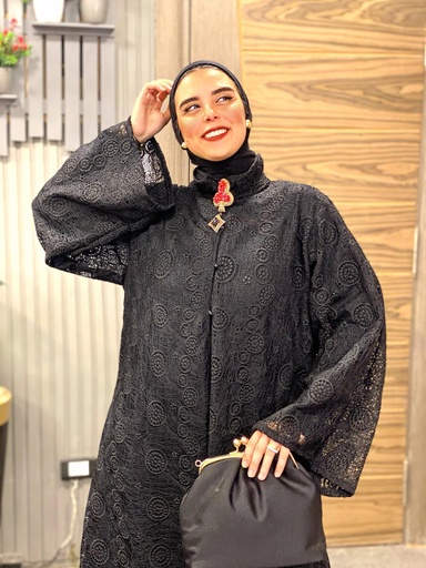 Guipure Lace Sleeves Dress 