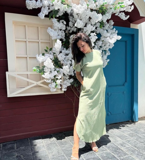 Basic Half Sleeves Dress