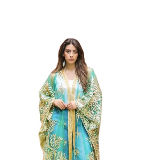Indian Tulle Kaftan